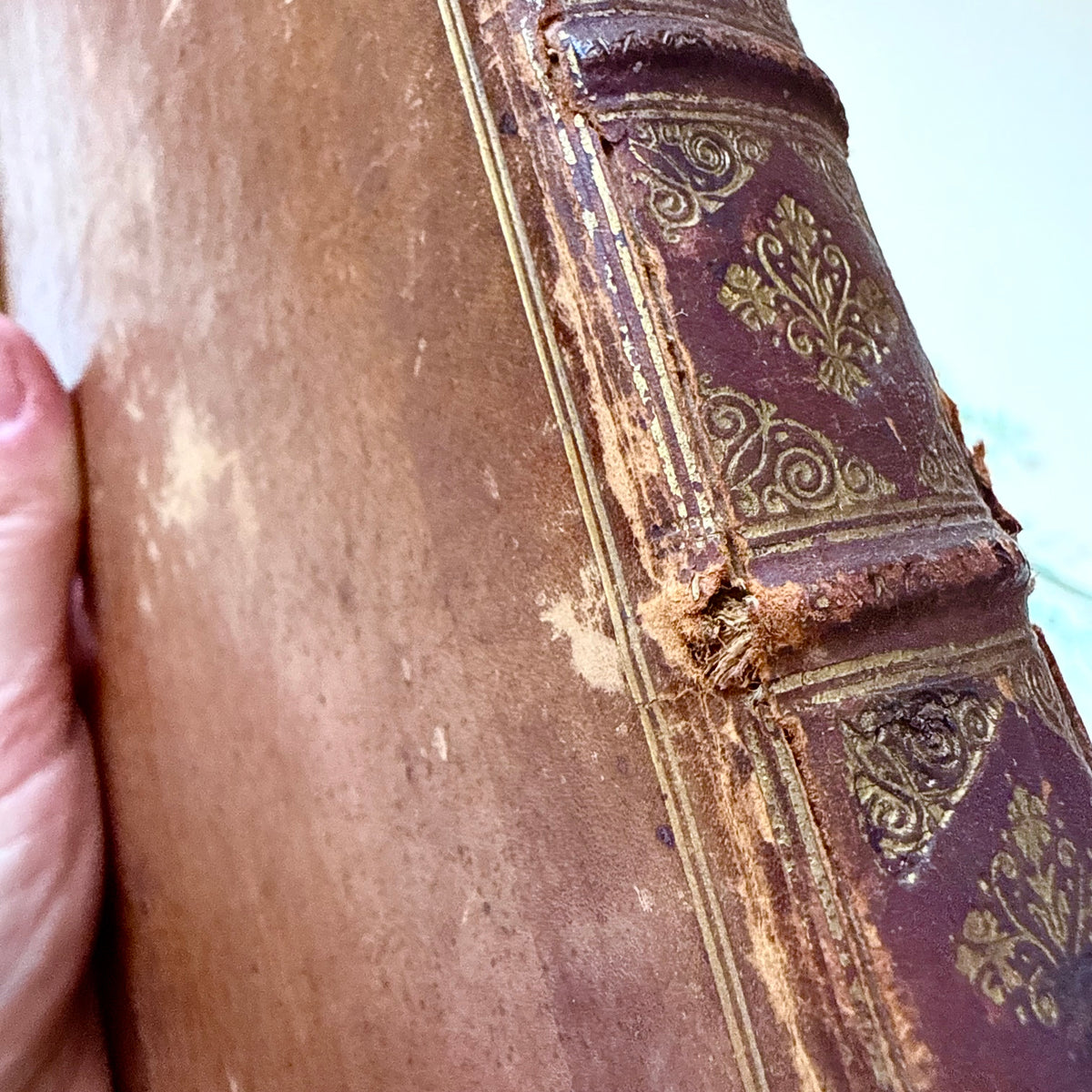 Bücher 1708