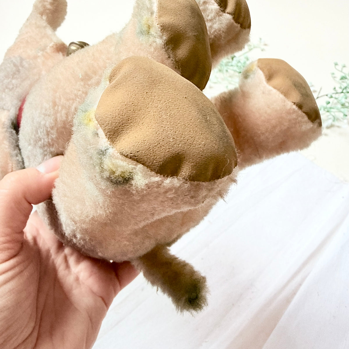 Steiff Elefant