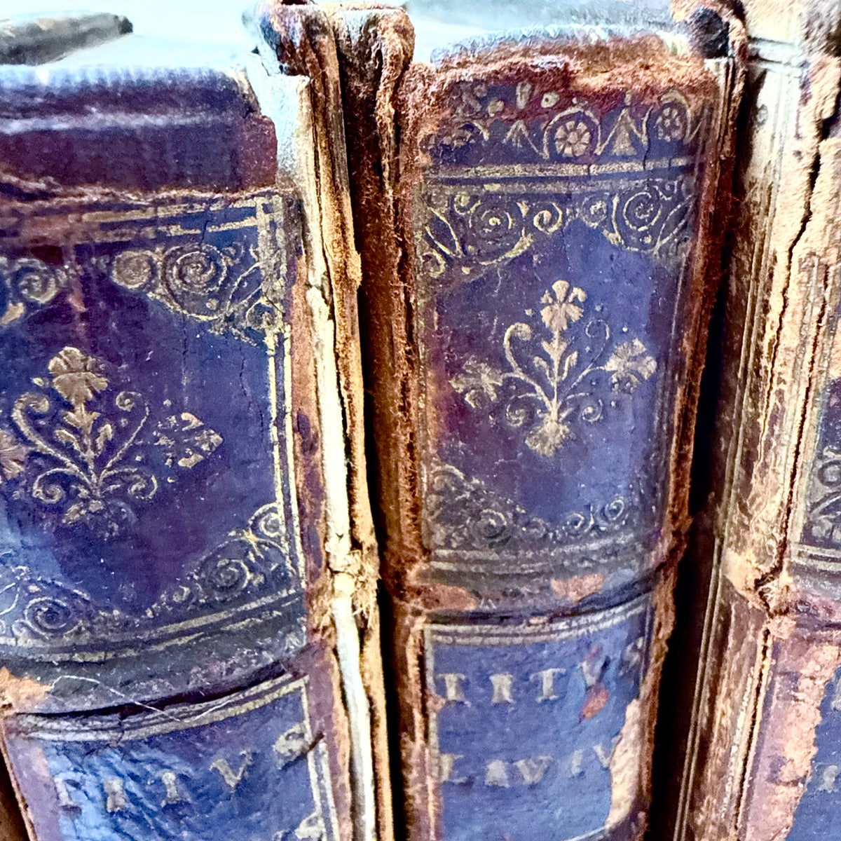 Bücher 1708