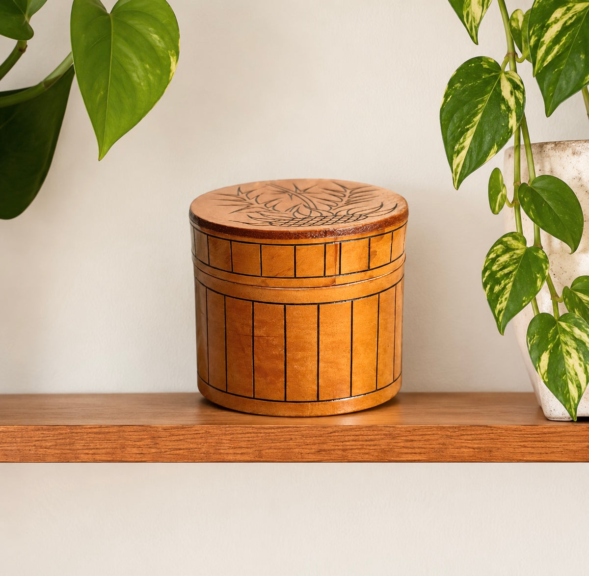Leder Box Distel