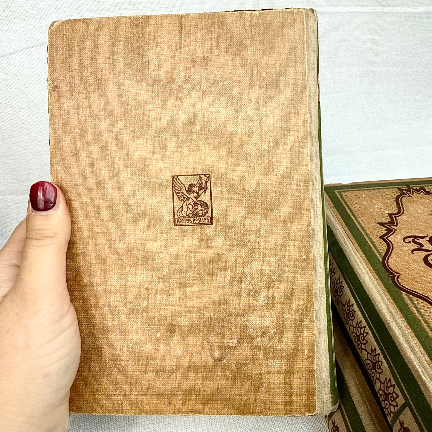 Antike Theodor Storm Bücher