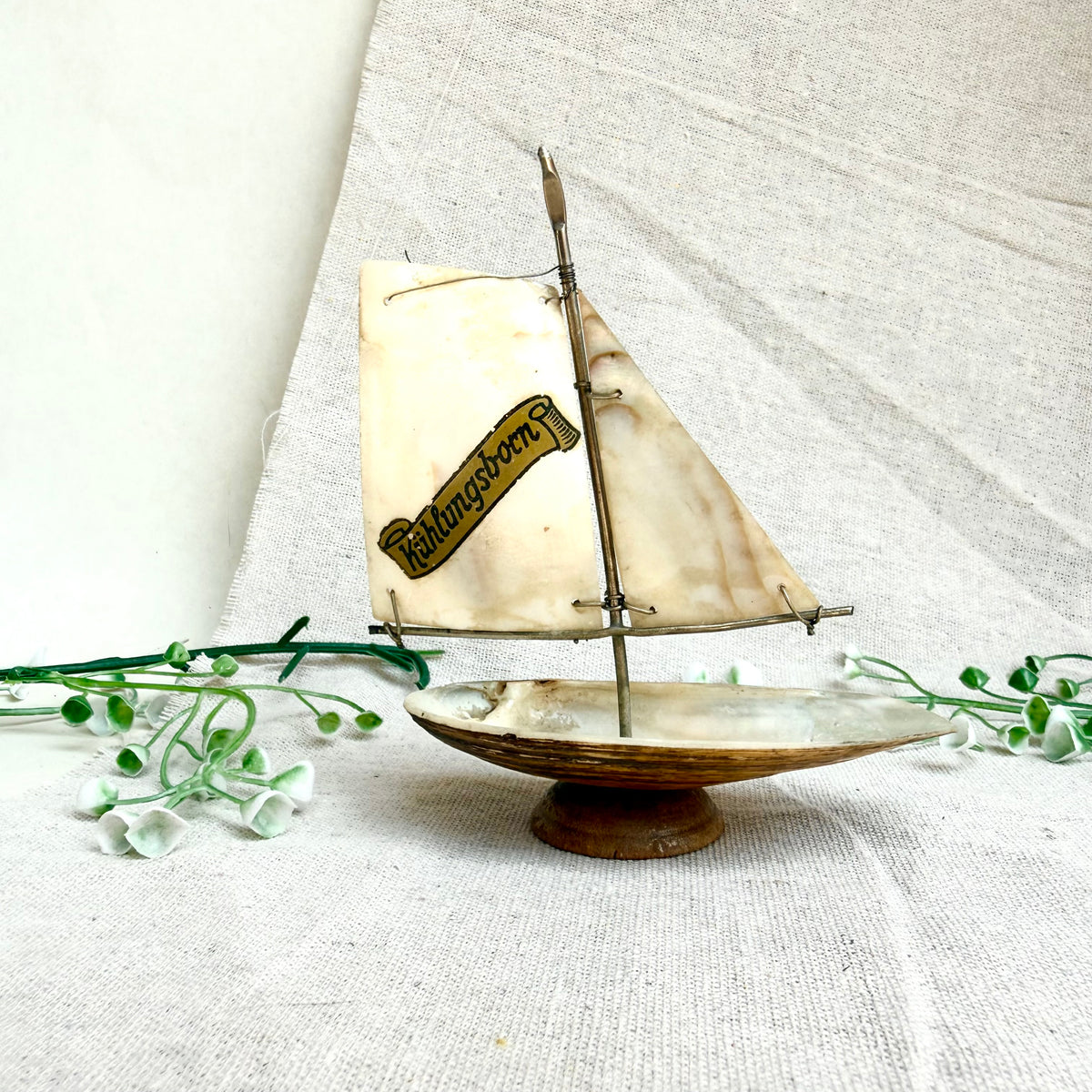 Segelschiff Perlmutt