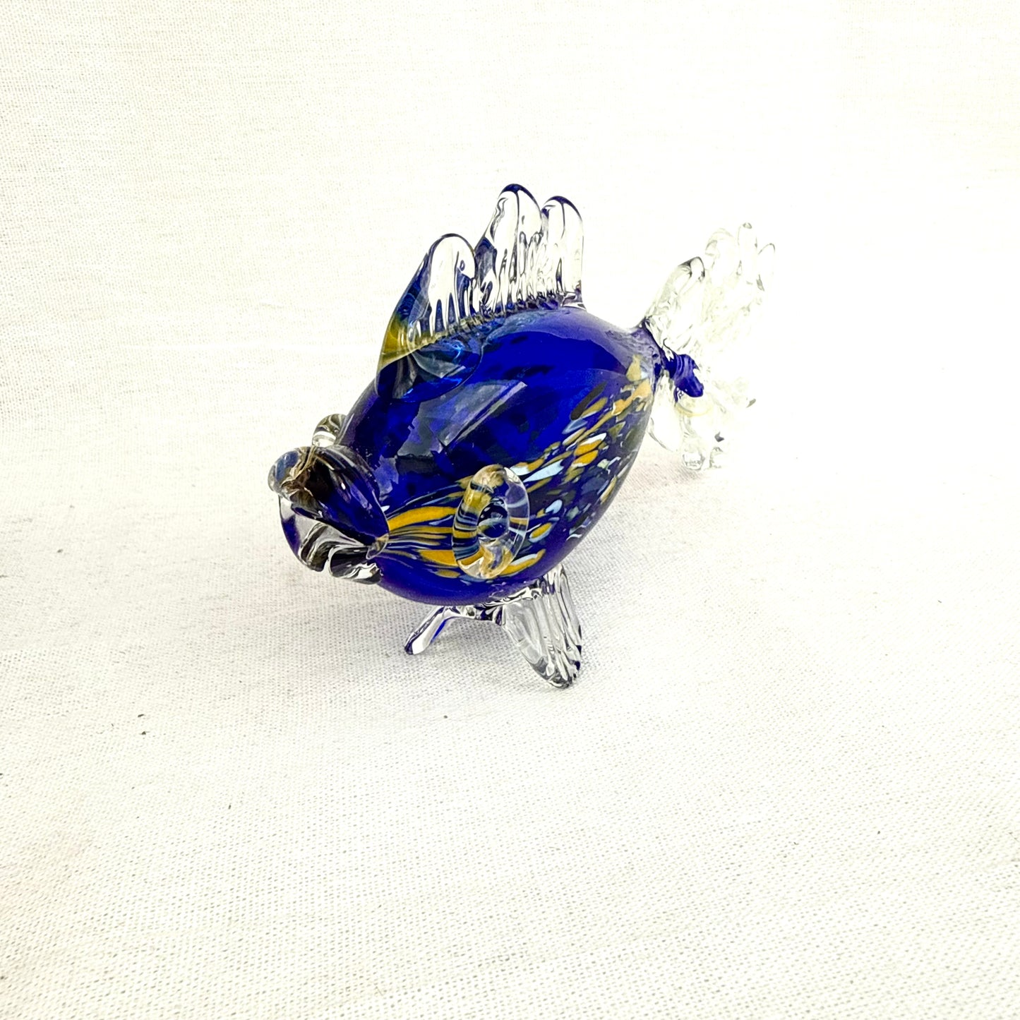 Glasfisch blau