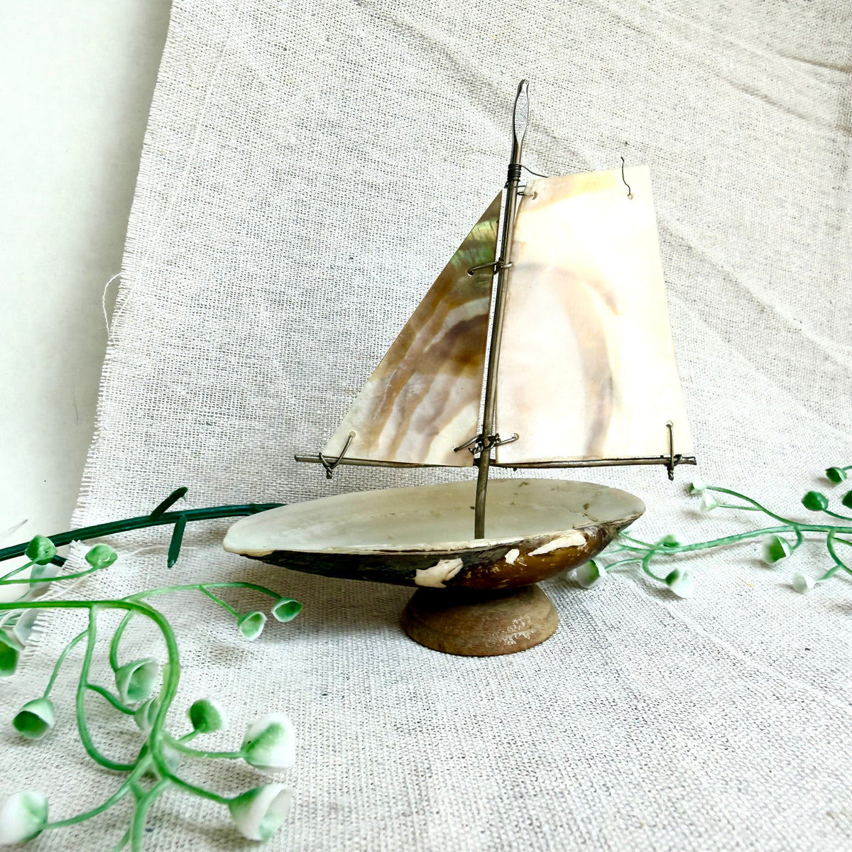 Segelschiff Perlmutt