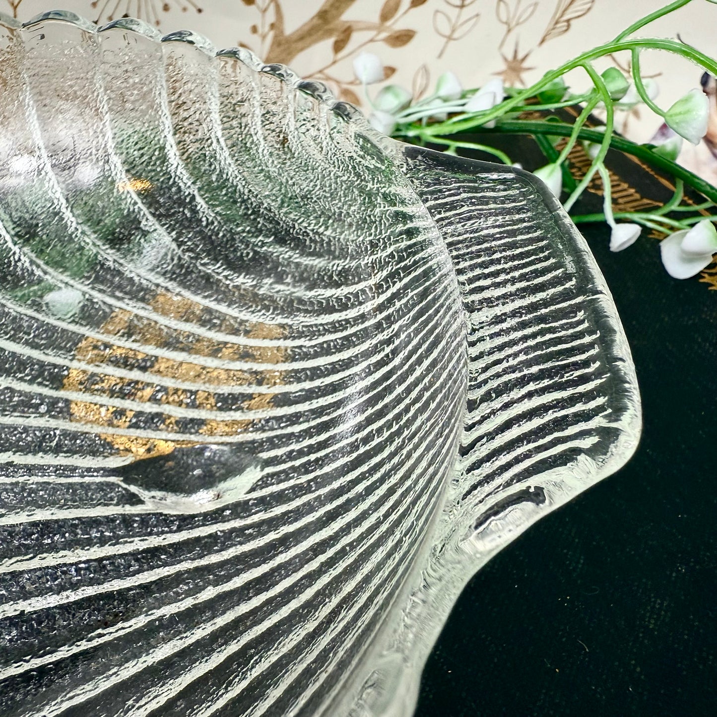 Muschelschale Glas