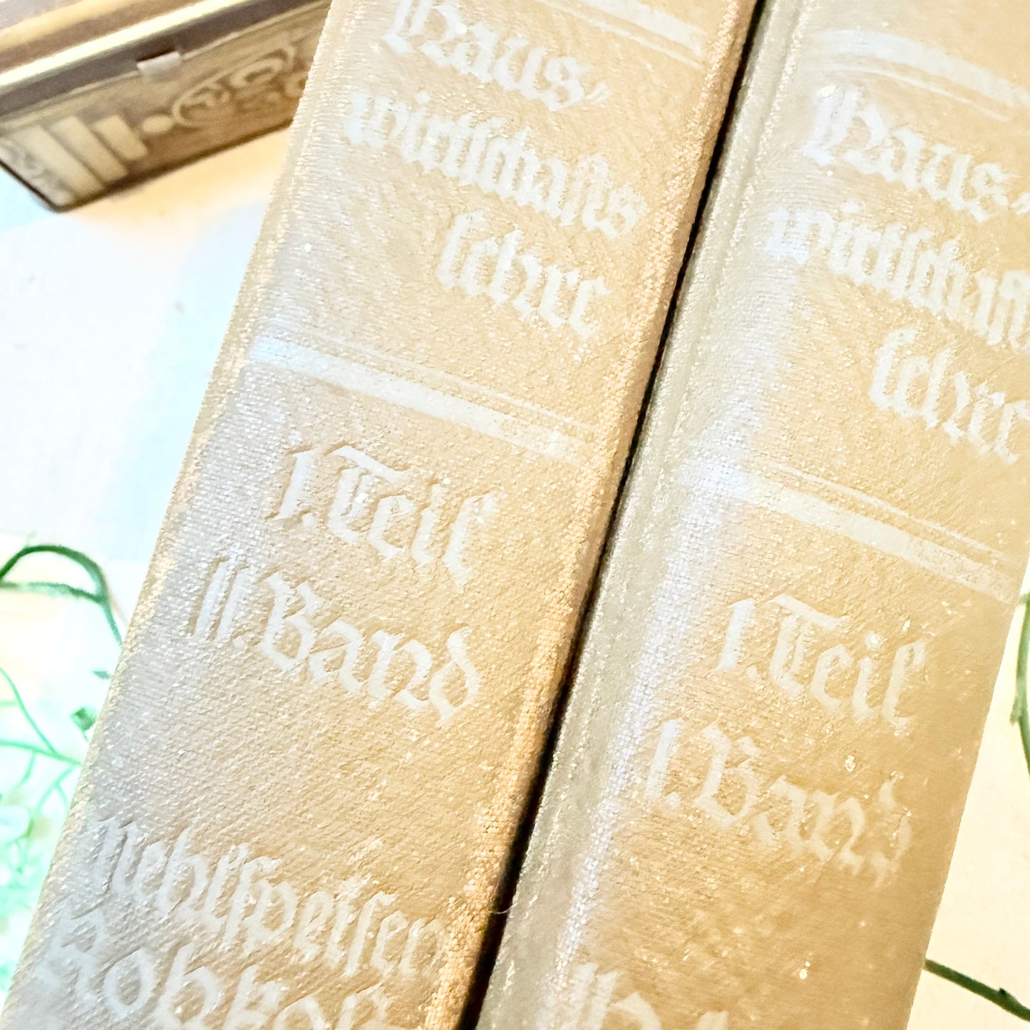 Bücher Hauswirtschaftslehre