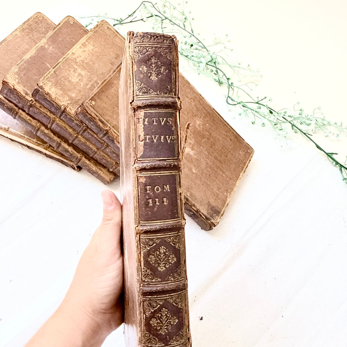 Bücher 1708