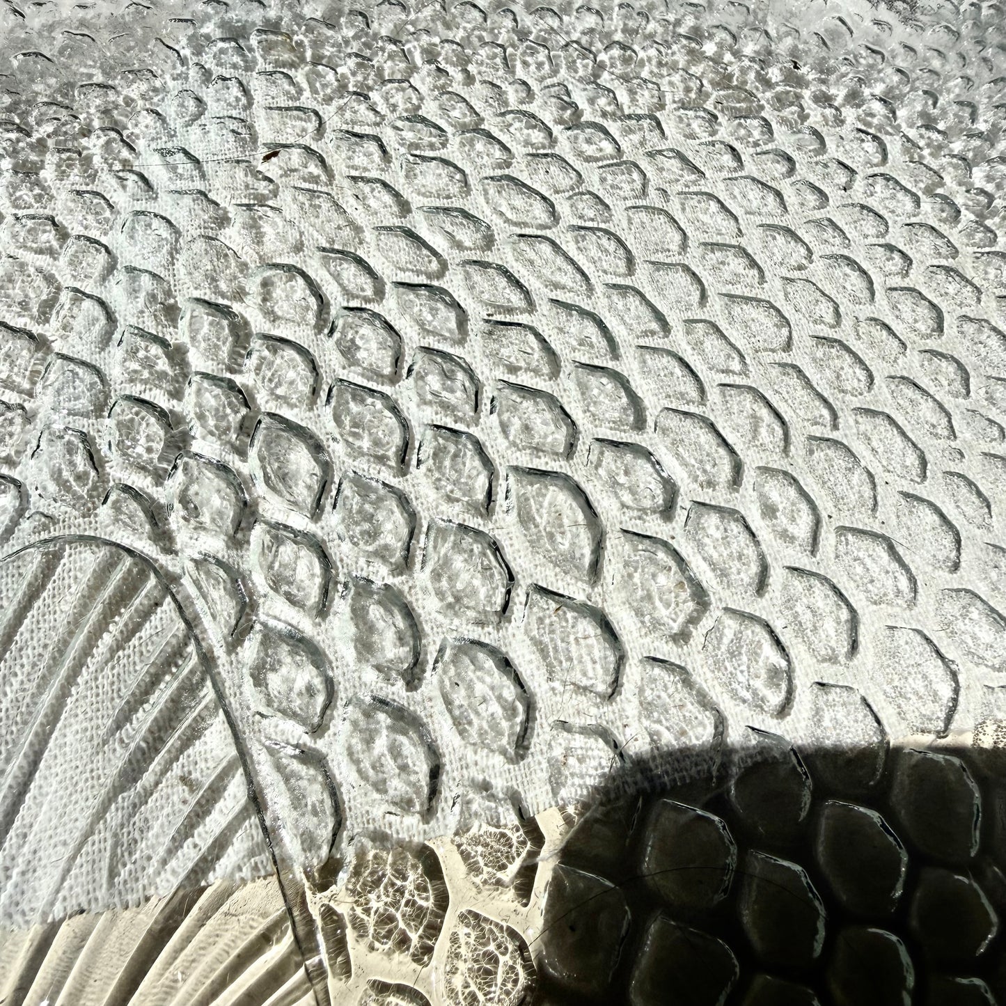 Fisch Schale