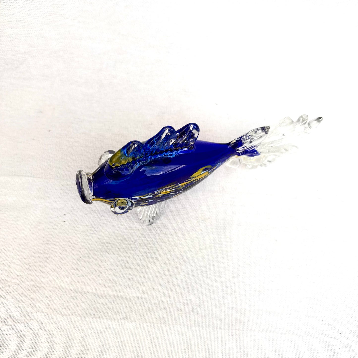 Glasfisch blau