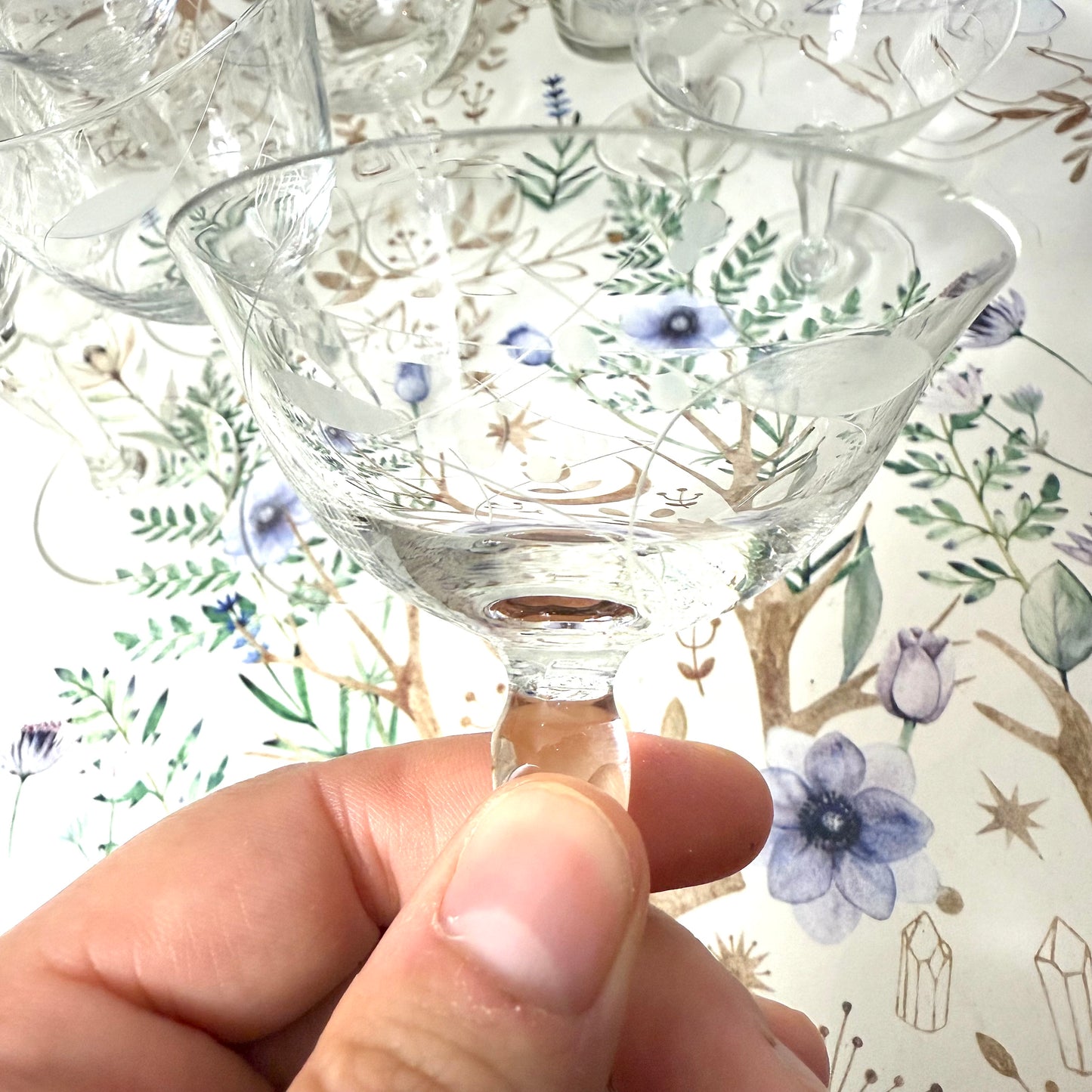 Set Kristallgläser