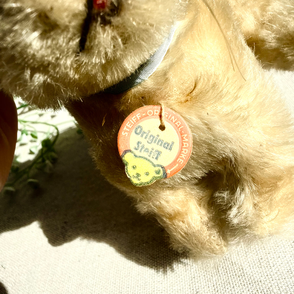 Steiff Hase