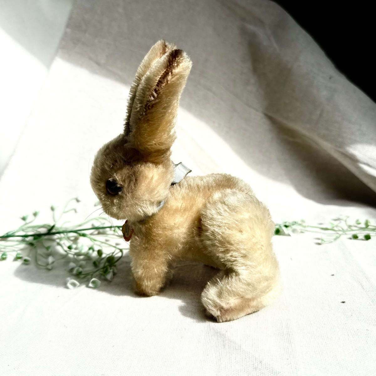 Steiff Hase