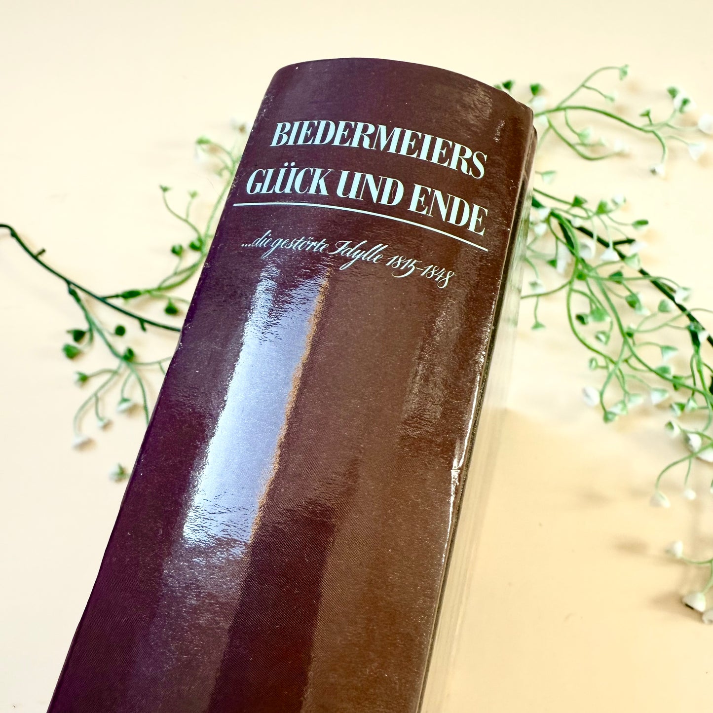Buch Biedermeier