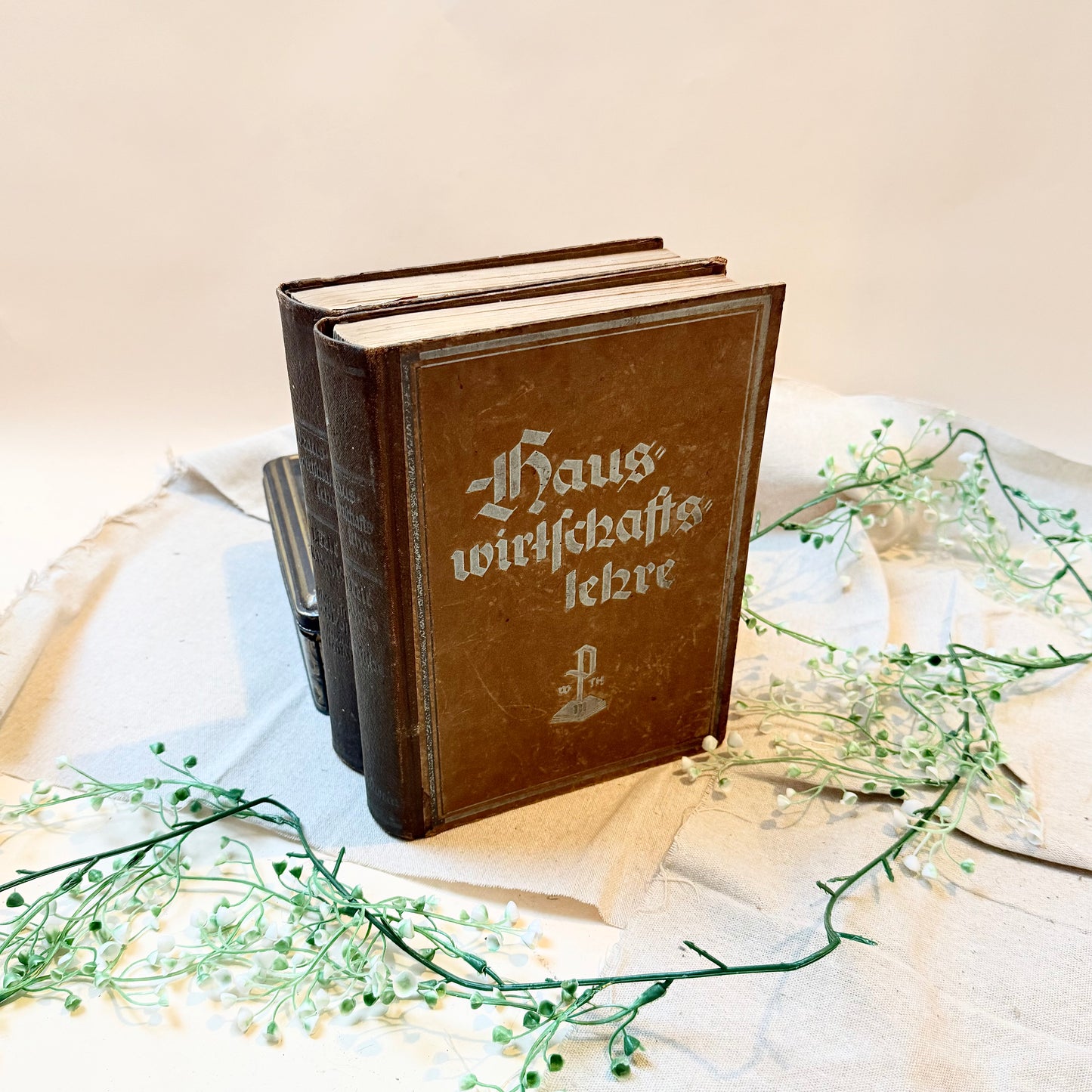 Bücher Hauswirtschaftslehre