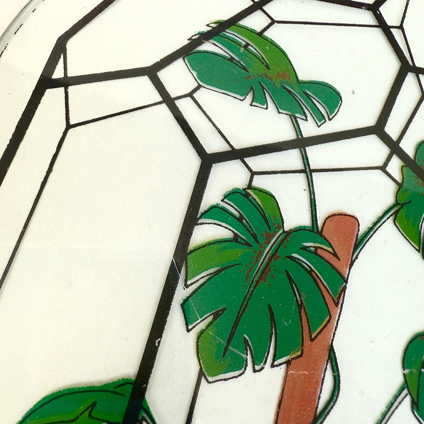 Glasbild Monstera