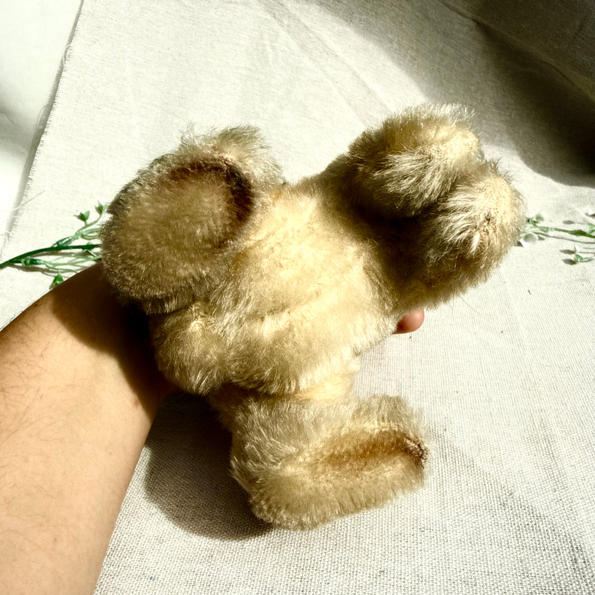 Steiff Hase