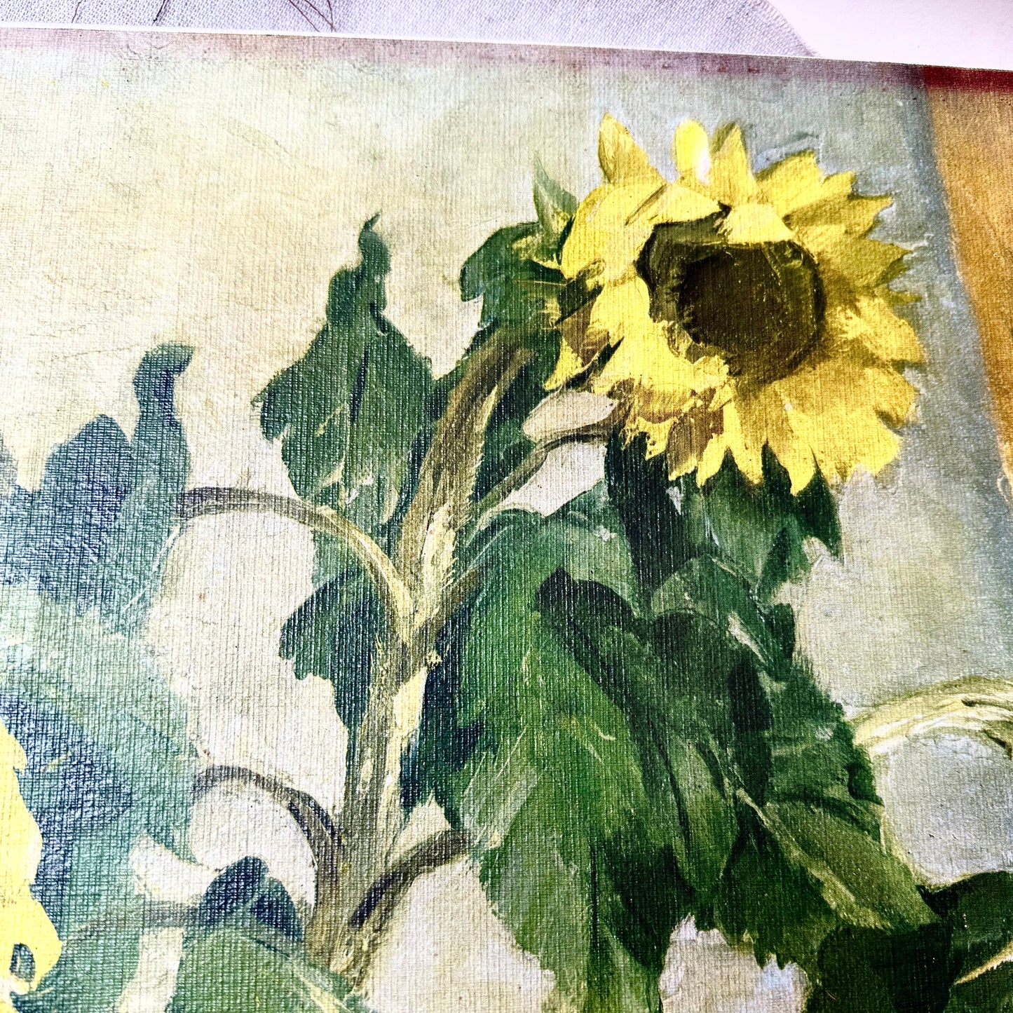 Sonnenblumen Bild