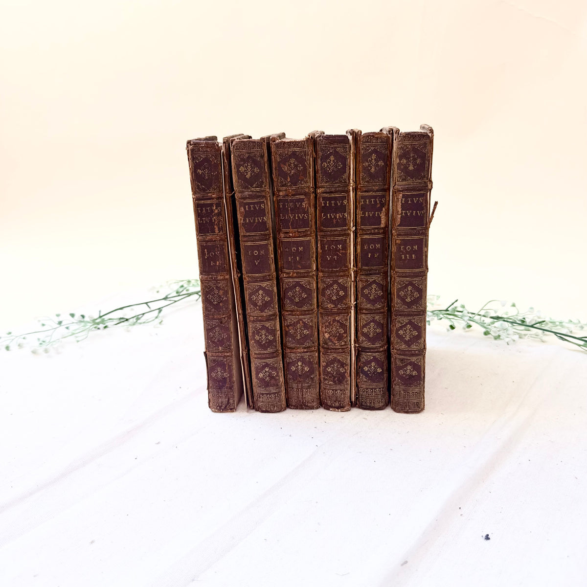 Bücher 1708
