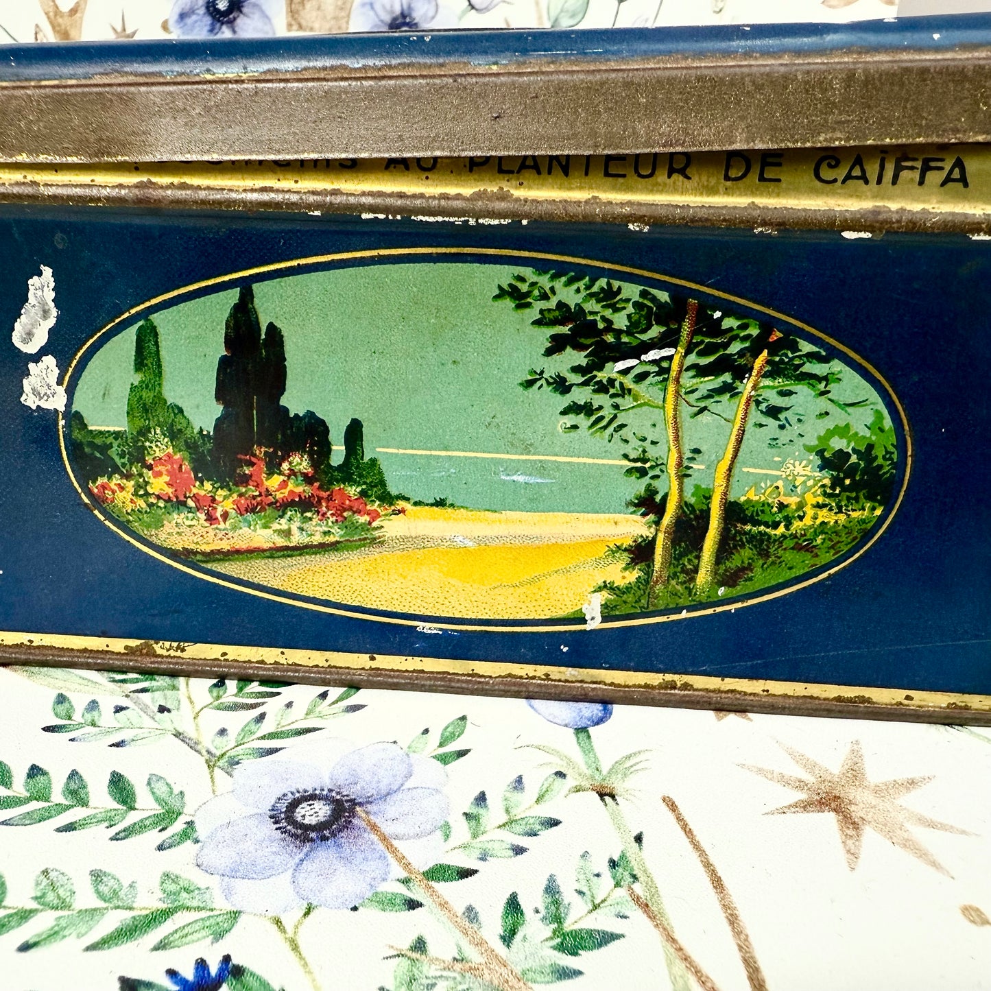 Metalldose botanisch