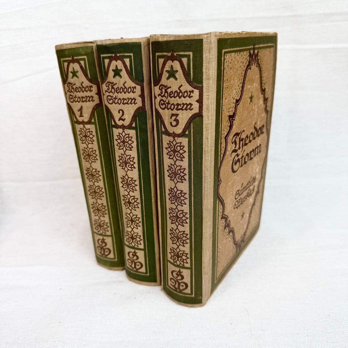 Antike Theodor Storm Bücher