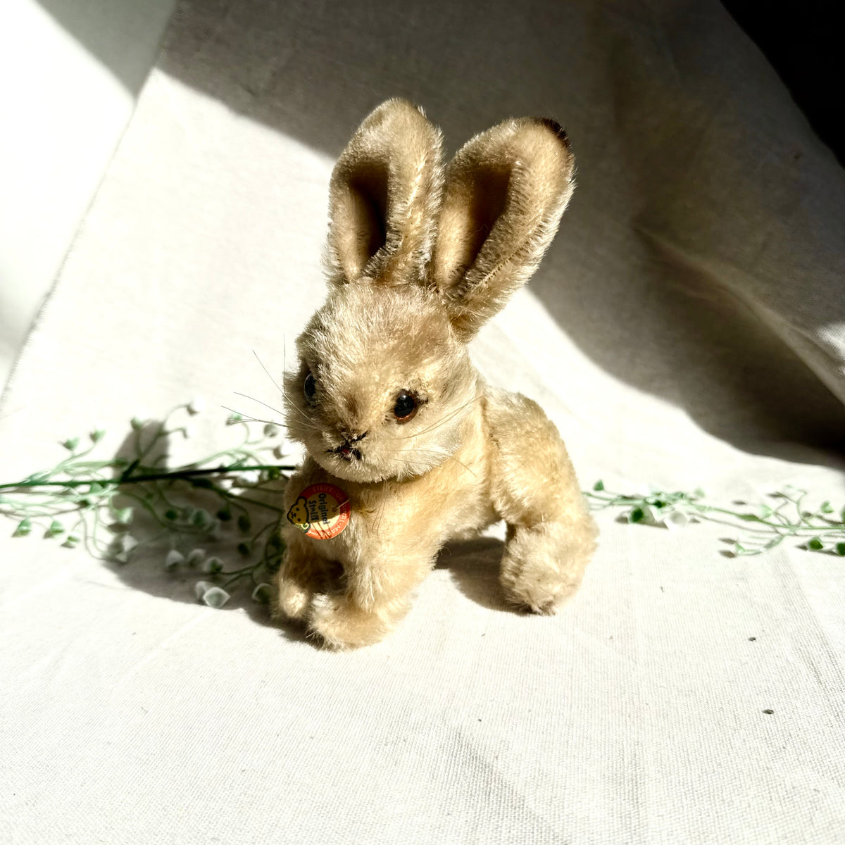 Steiff Hase