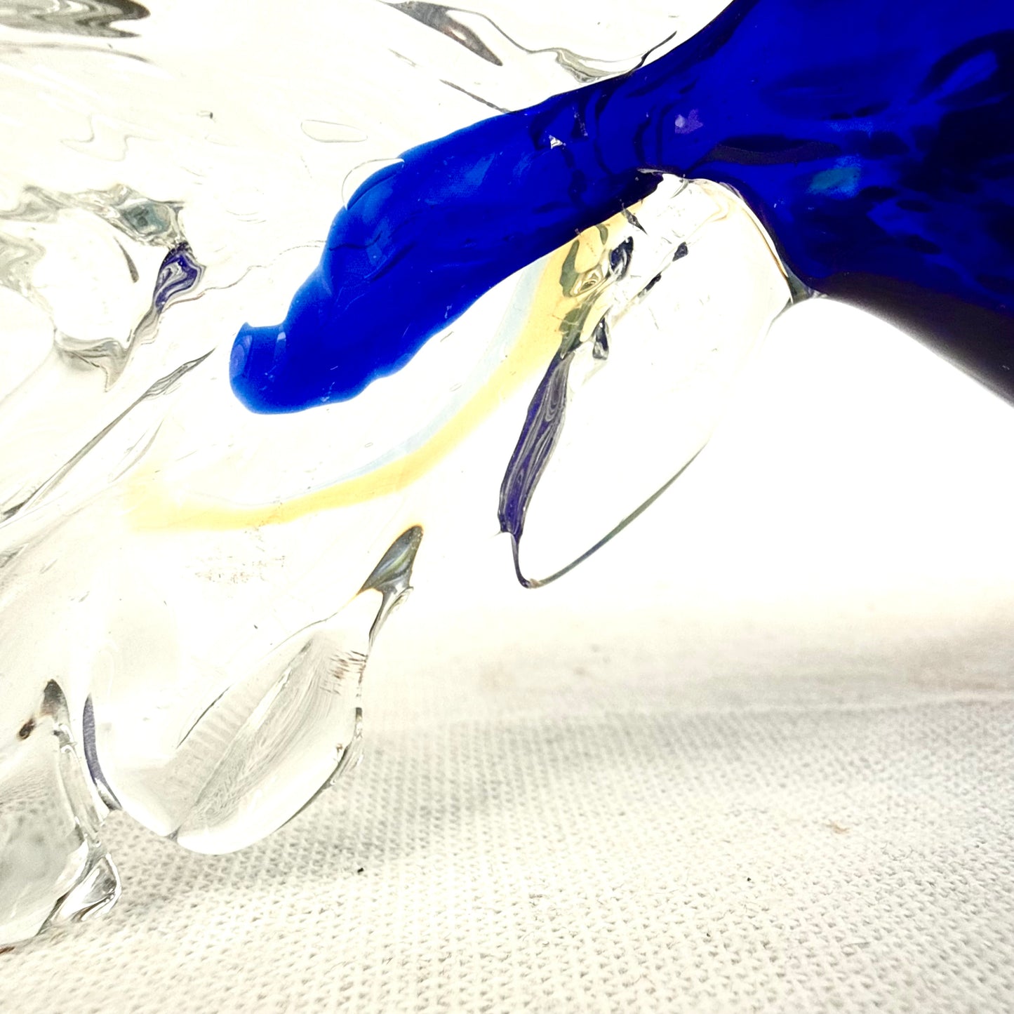 Glasfisch blau