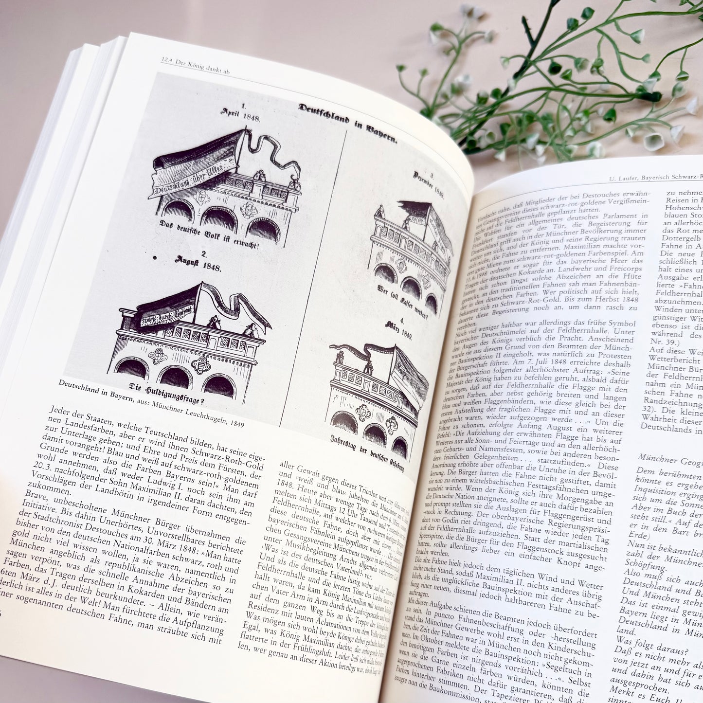 Buch Biedermeier