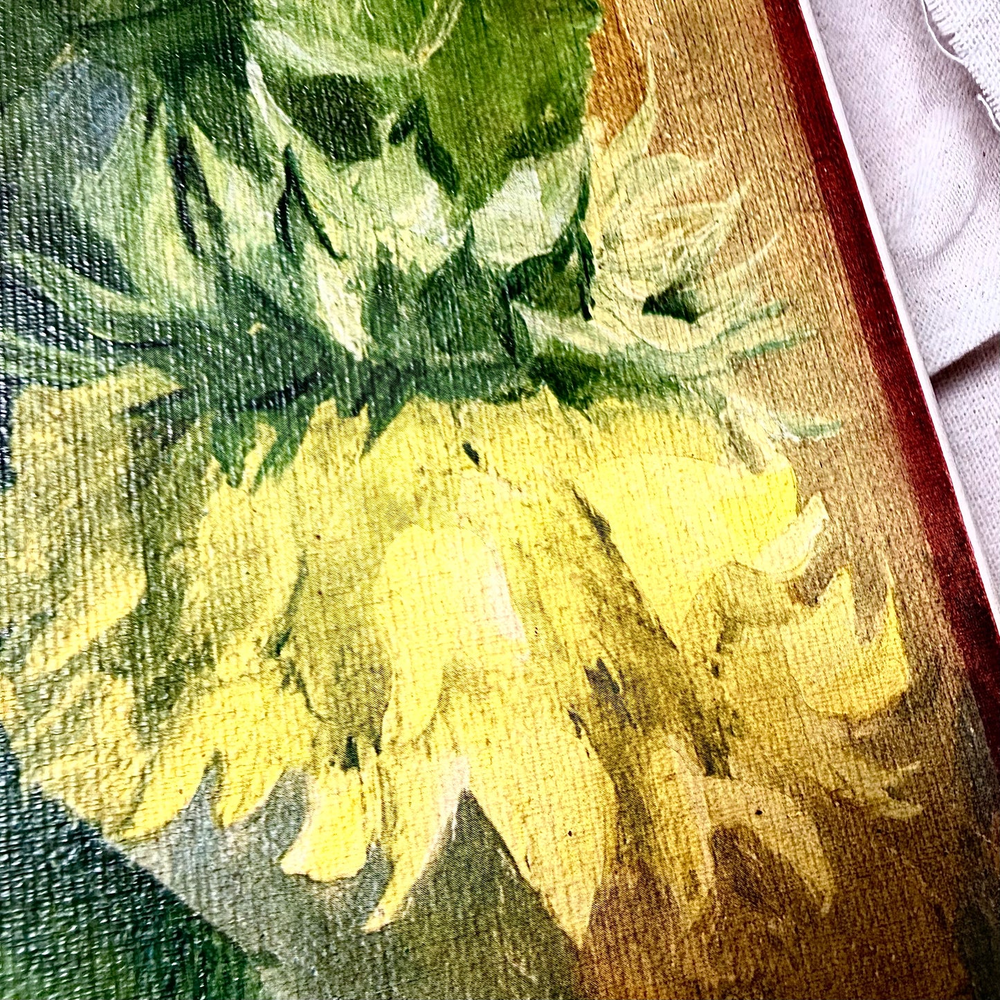 Sonnenblumen Bild