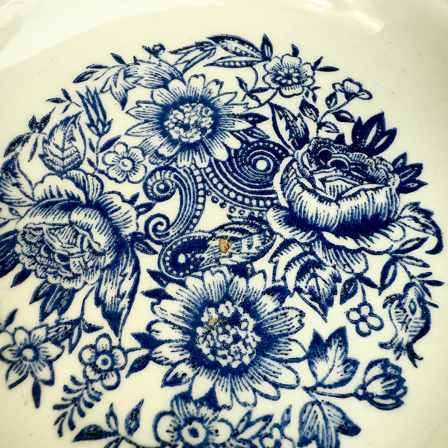 Suppenteller Blumen blau