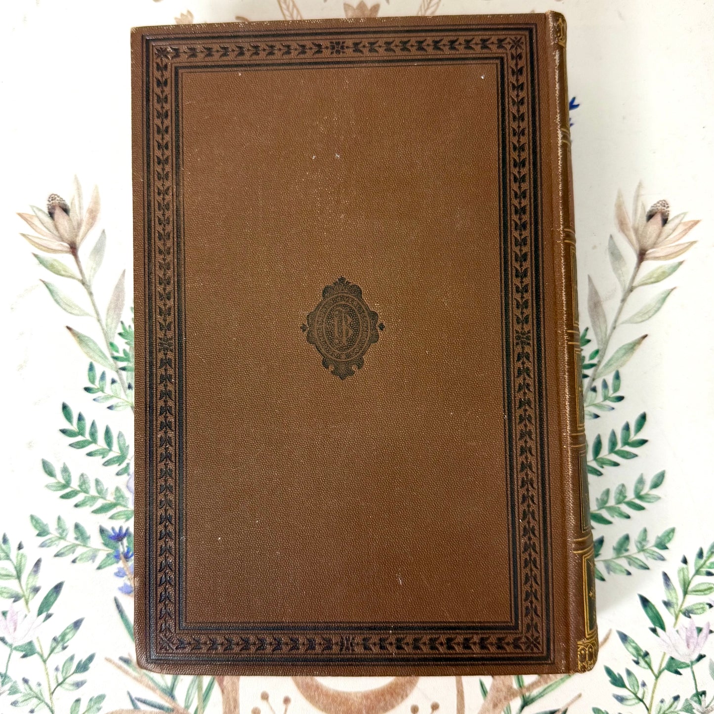 Shakespeares Königsdramen Buch