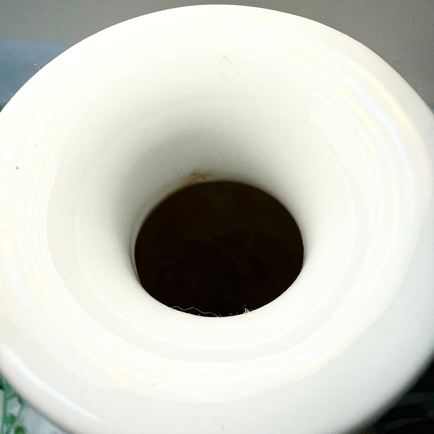 Narzissen Vase