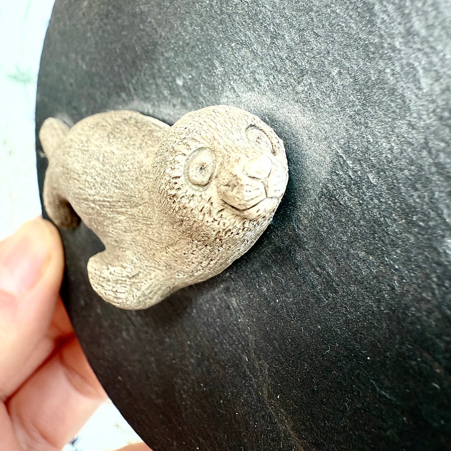 Robbe auf Schieferplatte