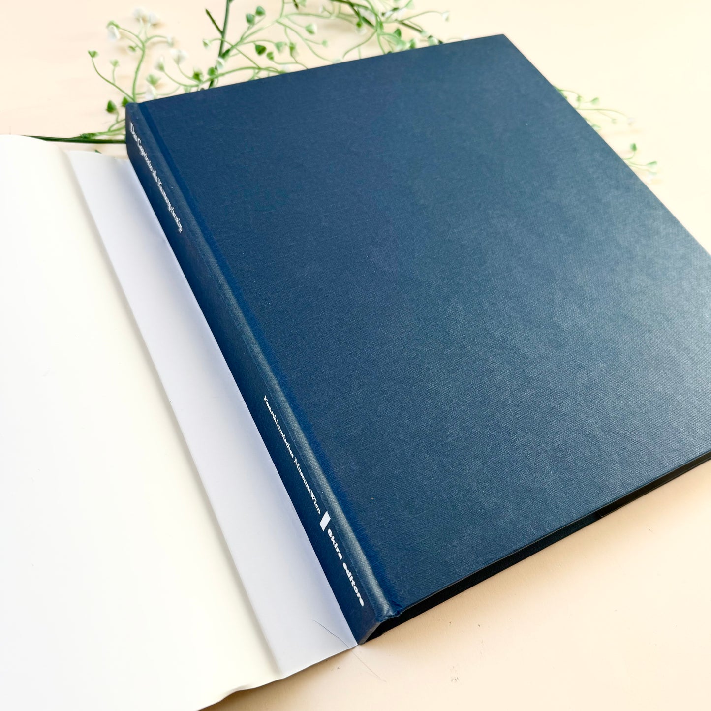 Buch Capriccio