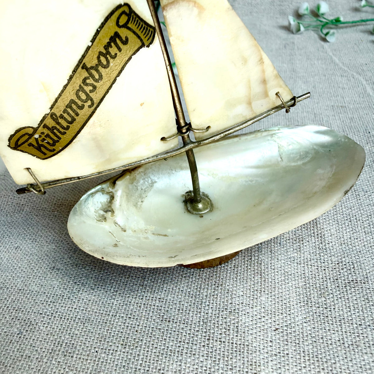 Segelschiff Perlmutt