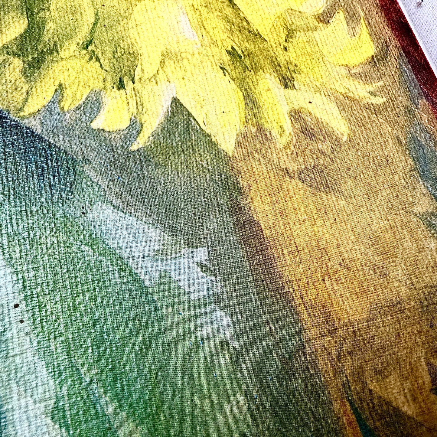Sonnenblumen Bild