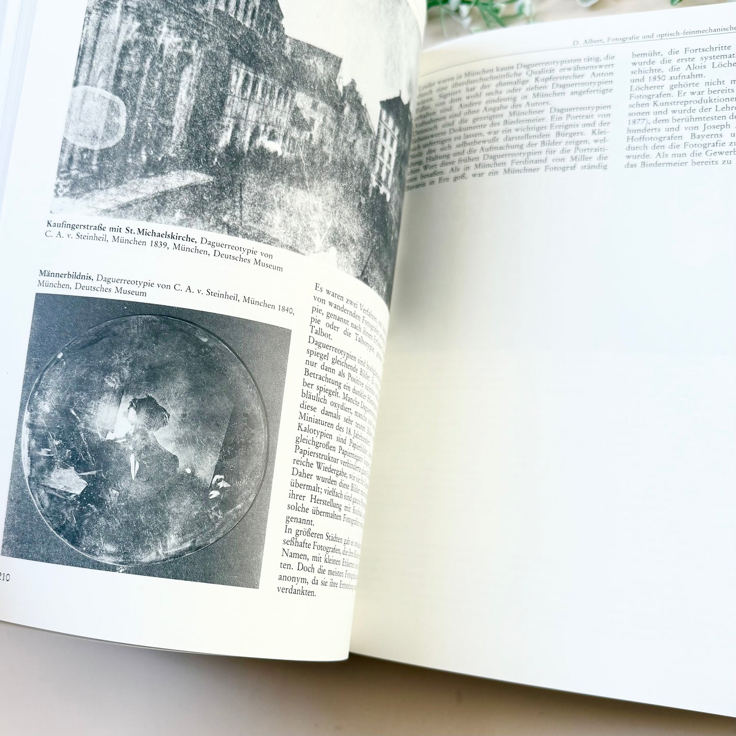 Buch Biedermeier