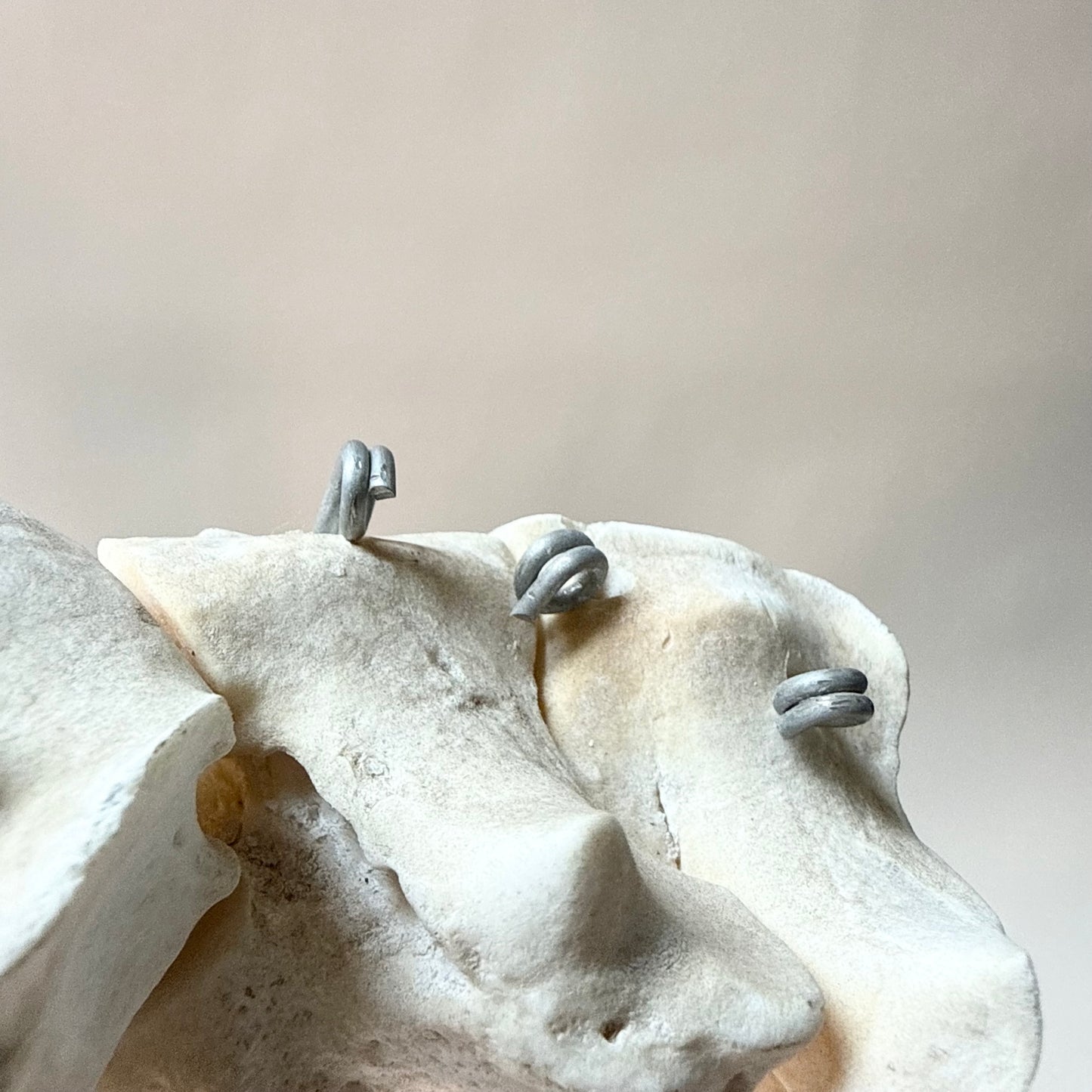 Lehrmodell Hufe Knochen