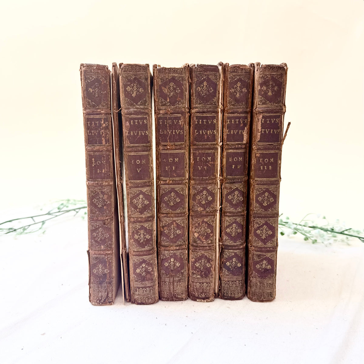 Bücher 1708