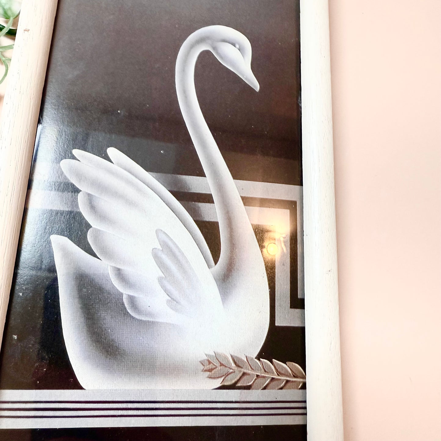 Bild Schwan