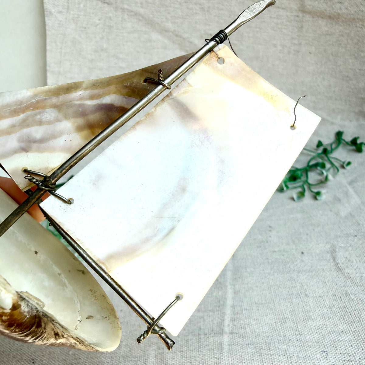 Segelschiff Perlmutt