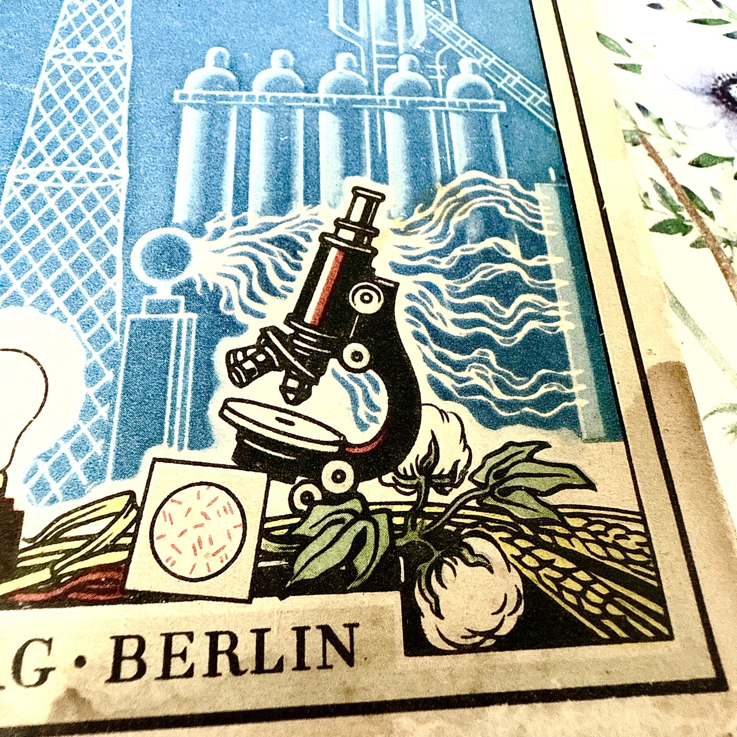 Aus dem Reiche der Entdeckungen