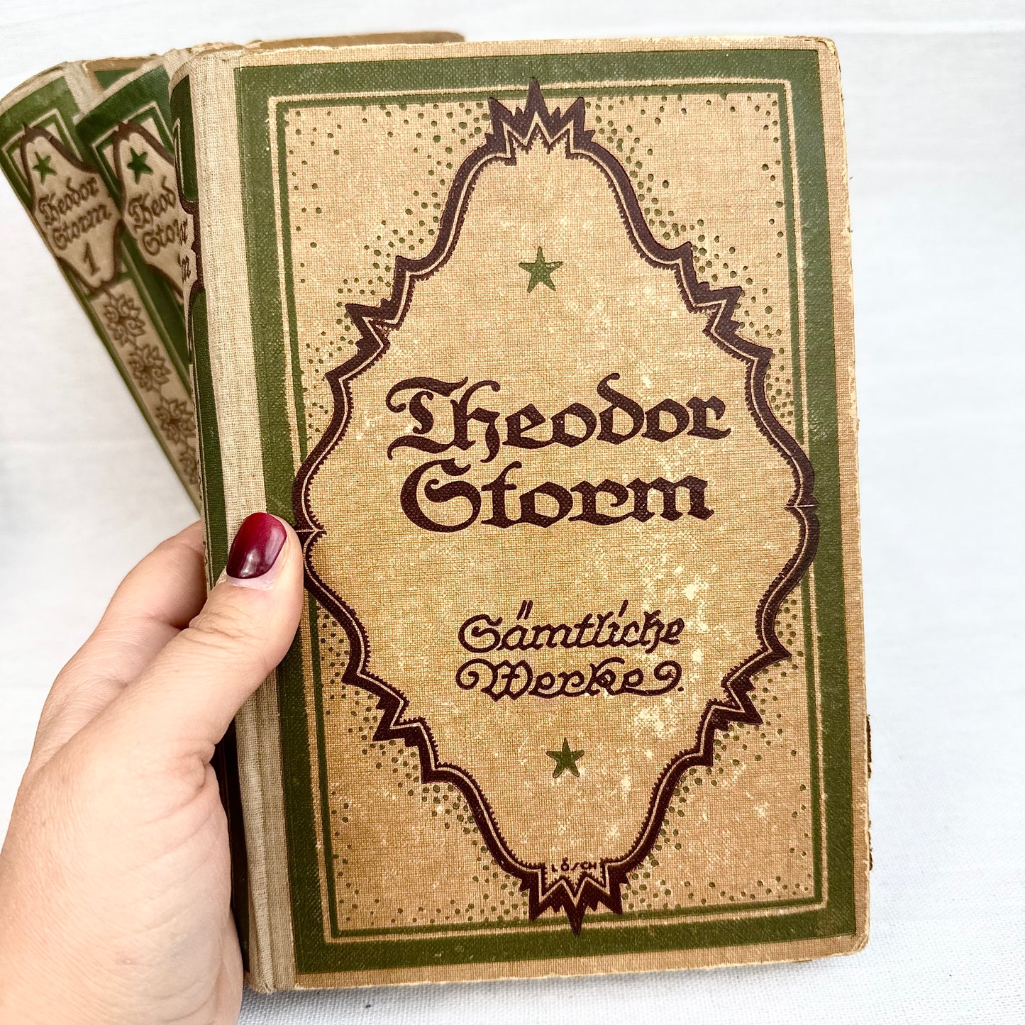 Antike Theodor Storm Bücher