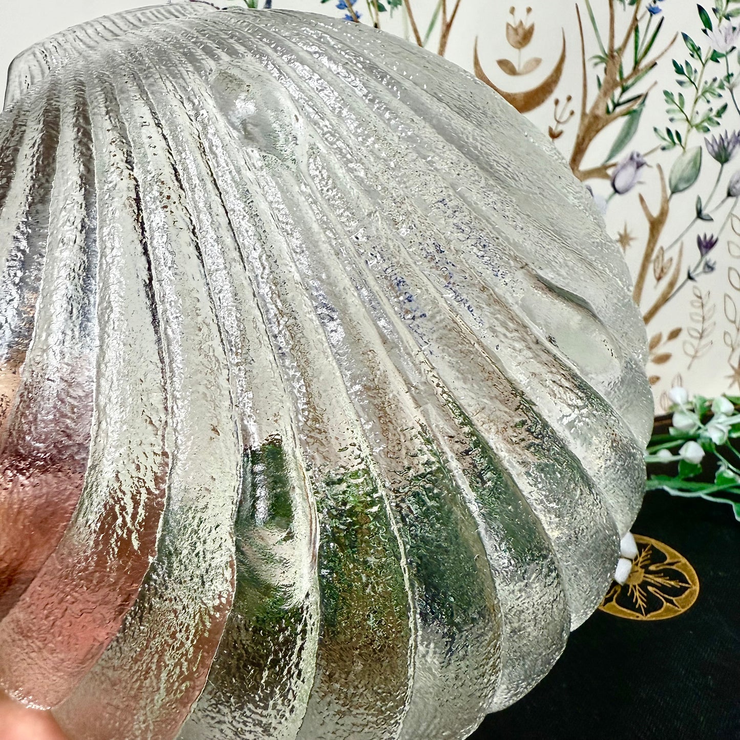 Muschelschale Glas