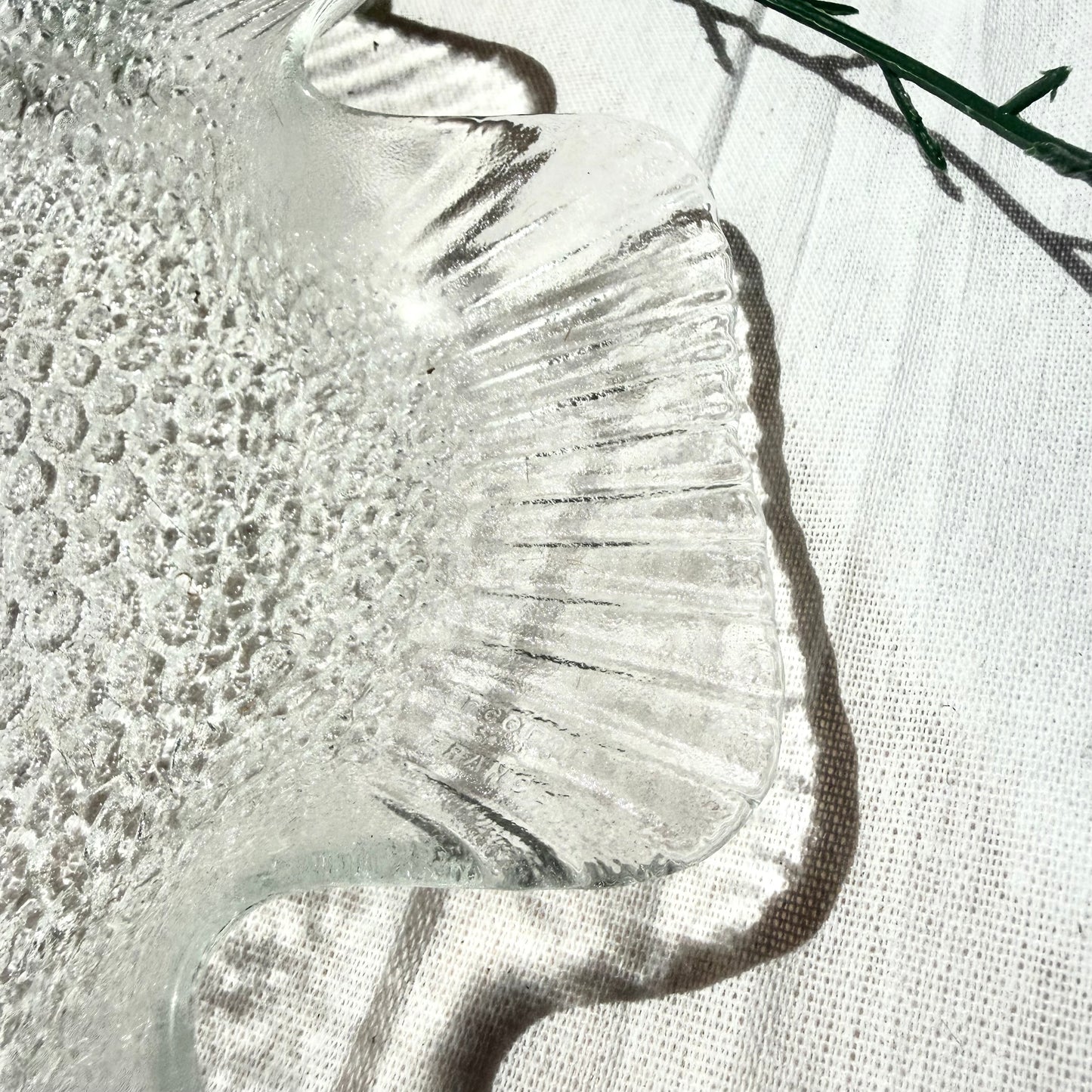 Fisch Schale