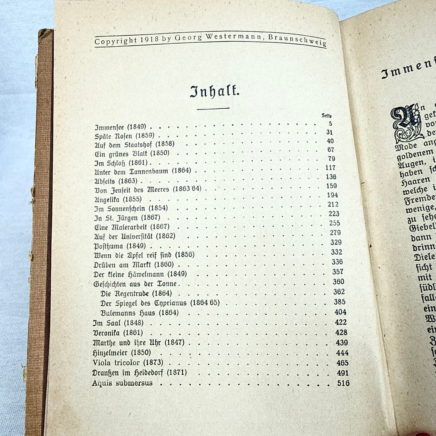 Antike Theodor Storm Bücher
