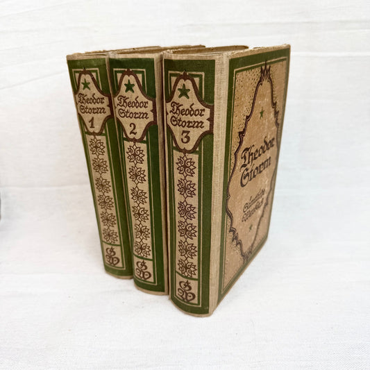 Antike Theodor Storm Bücher