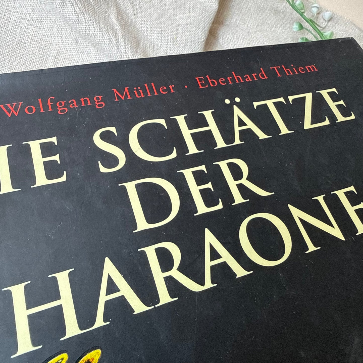 Buch „Die Schätze der Pharaonen“
