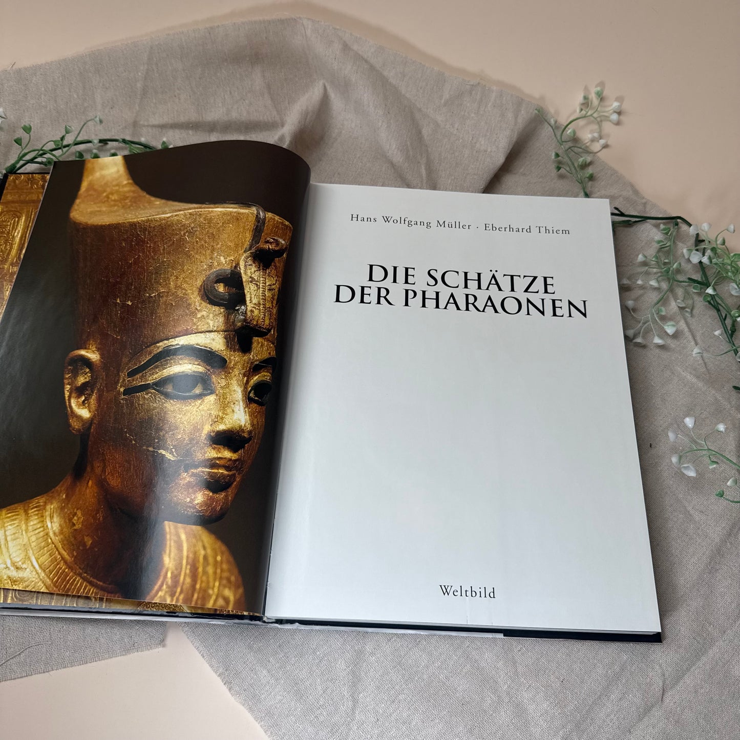 Buch „Die Schätze der Pharaonen“
