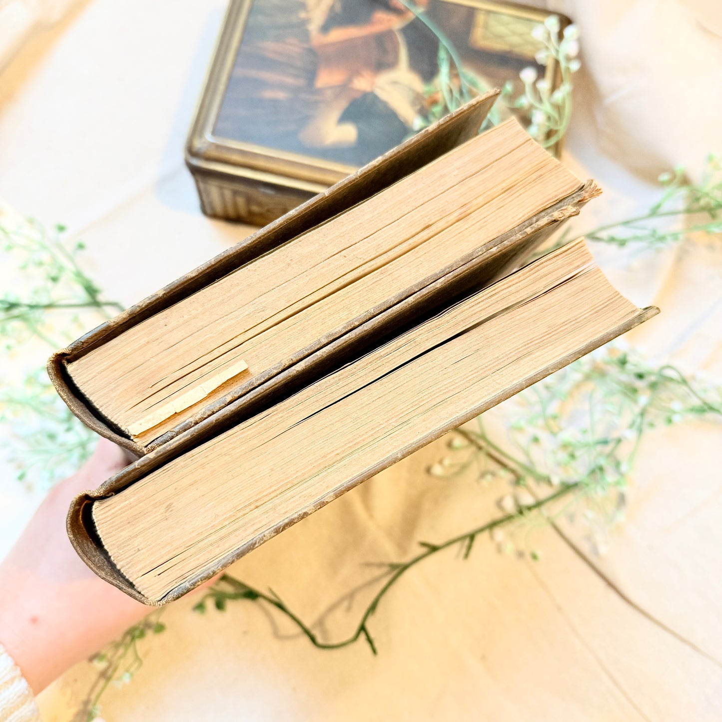 Bücher Hauswirtschaftslehre