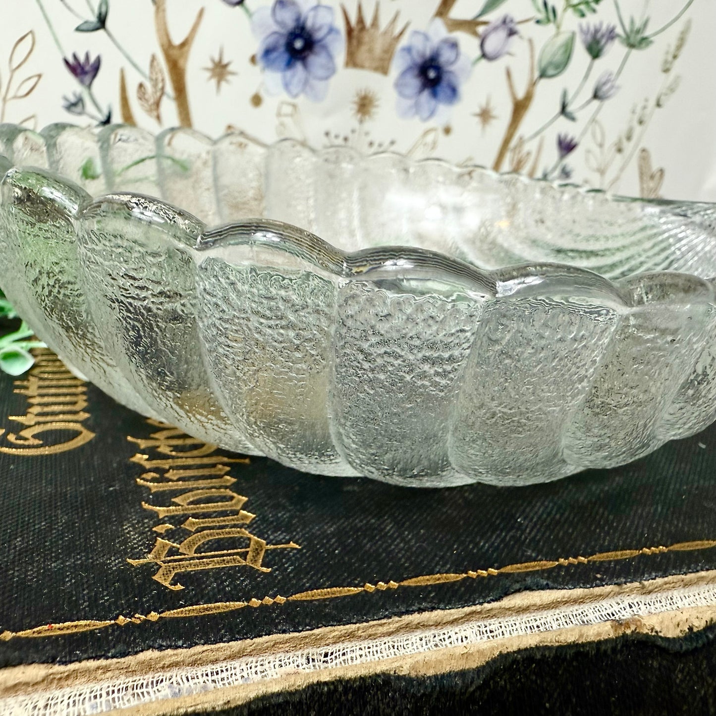 Muschelschale Glas